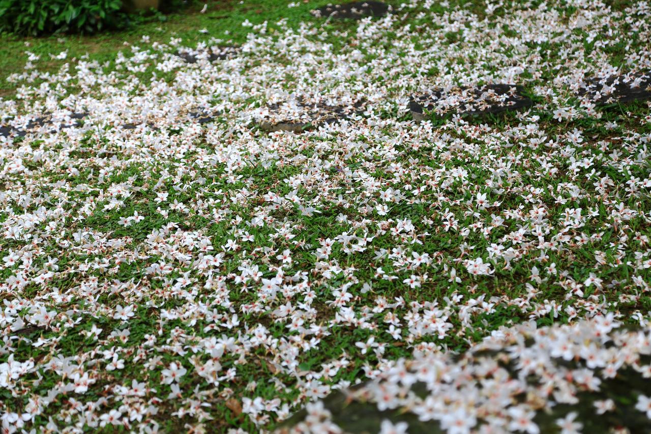 Bed and Breakfast Xiangyang Tianyuan Саньи Экстерьер фото